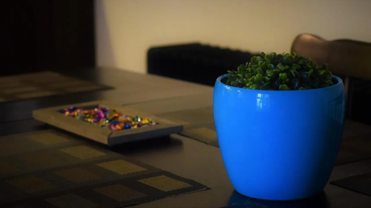 Your Gorgeous And Spacious Dream Home Free Parking Budapest Apartment